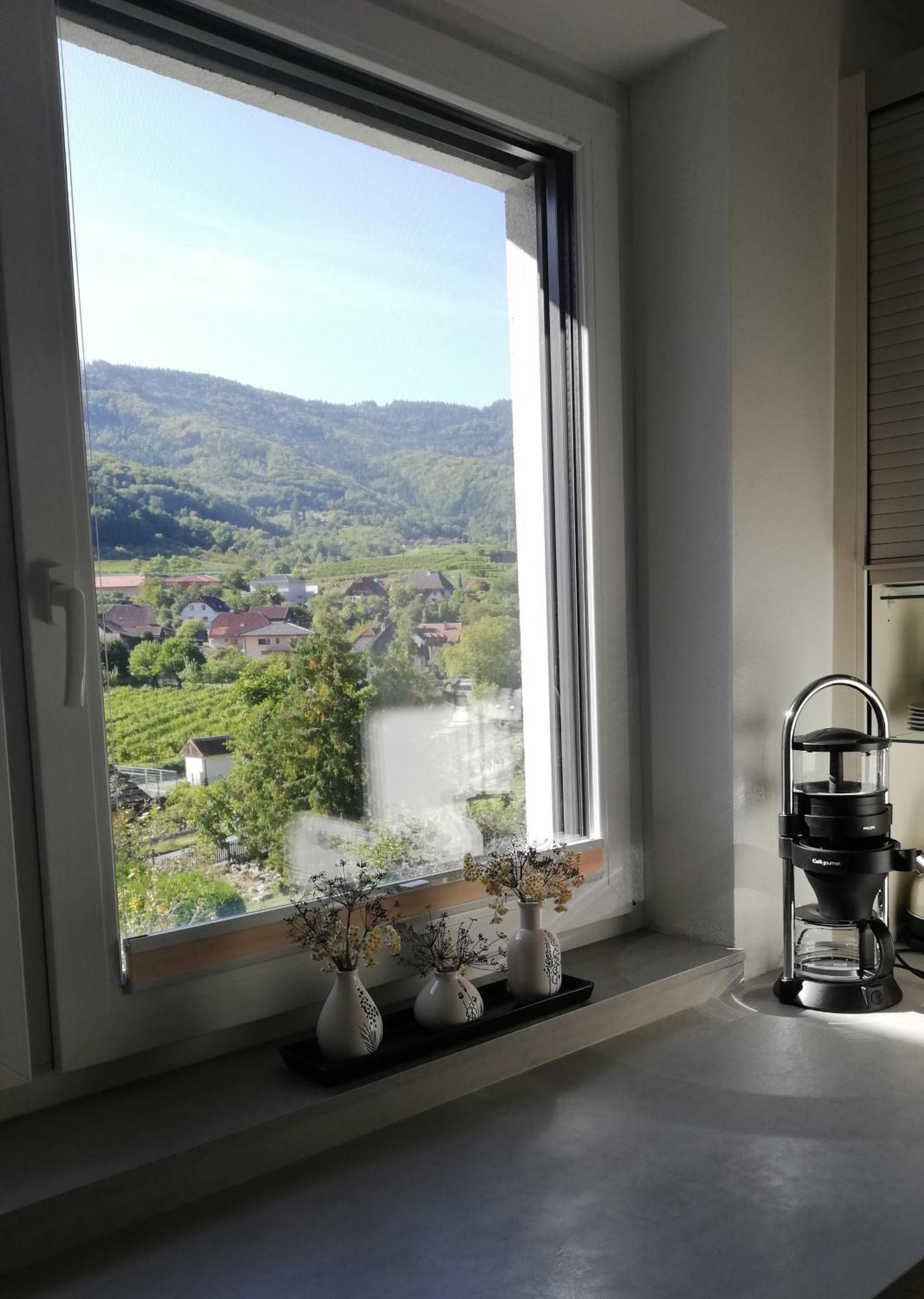 Ferienhaus Johanna Spitz an der Donau Esterno foto